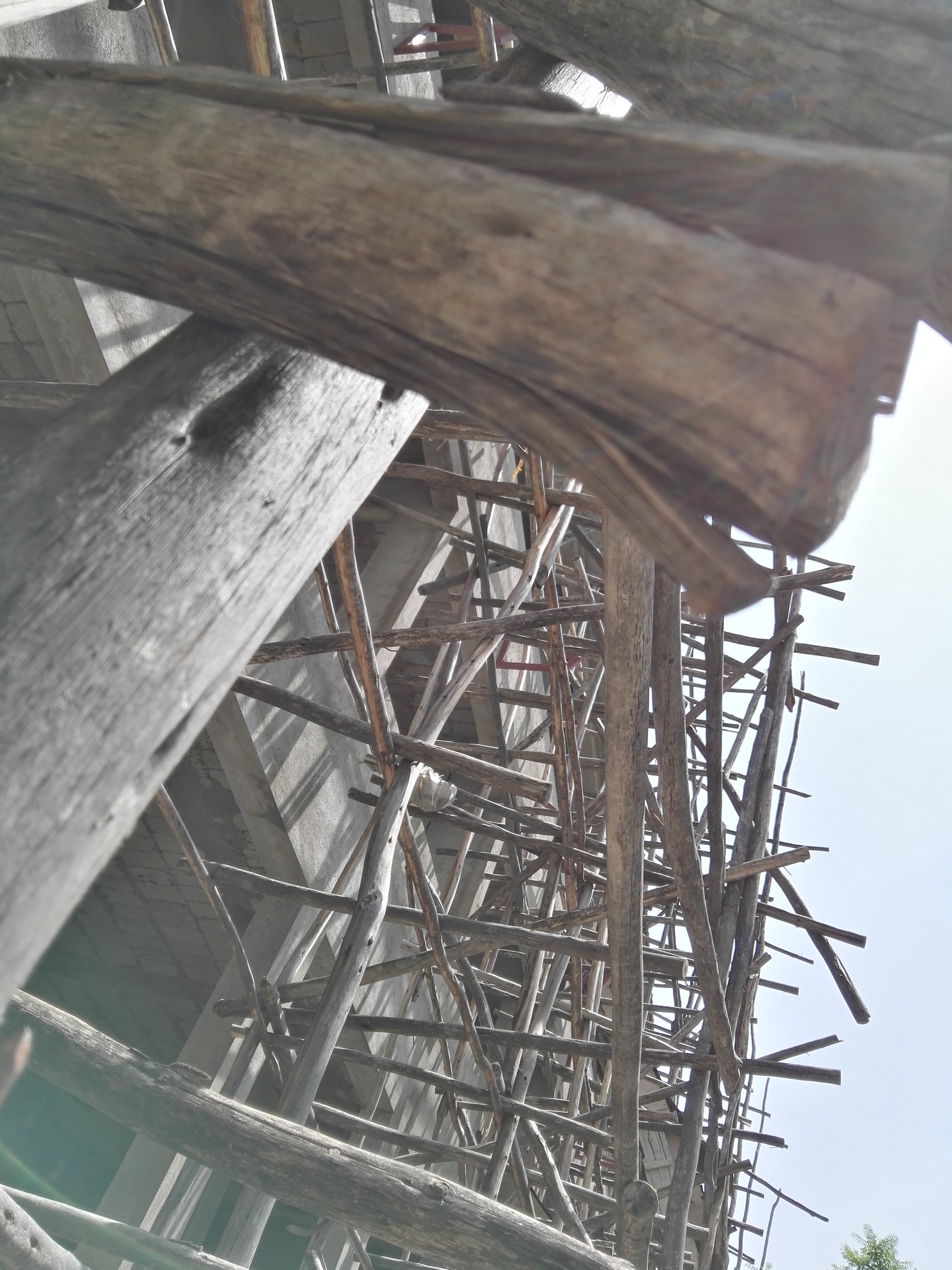 img_20160603_133014 mmexport 