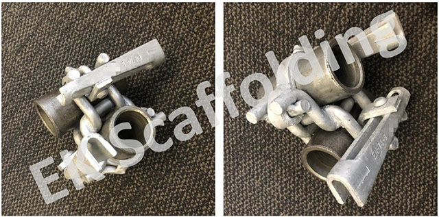 Голландияның қос шоуы 06