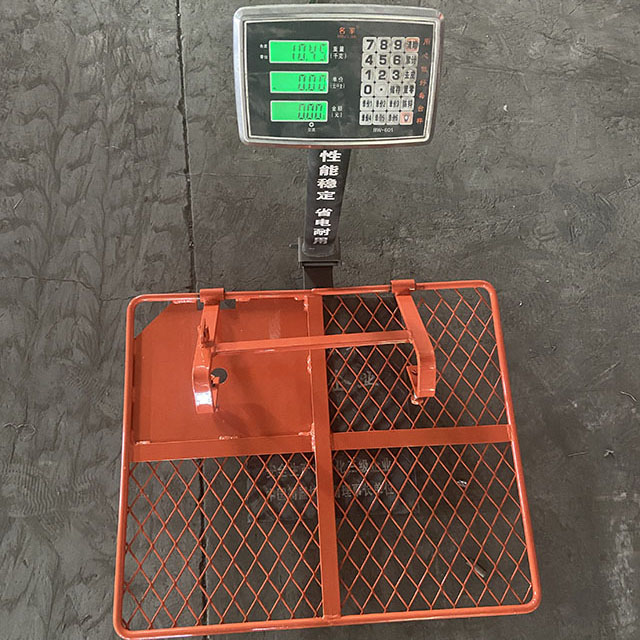 Орка қақпасының есігі