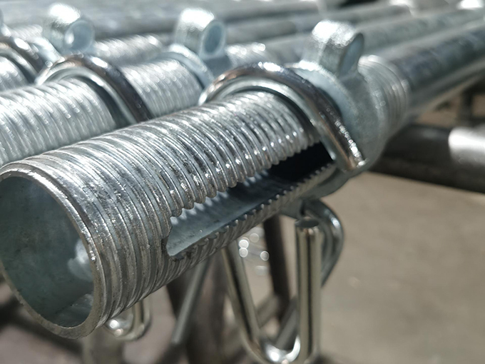 Шорлы жаңғақ