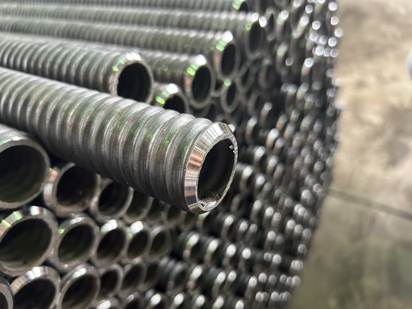 негізгі ұясы