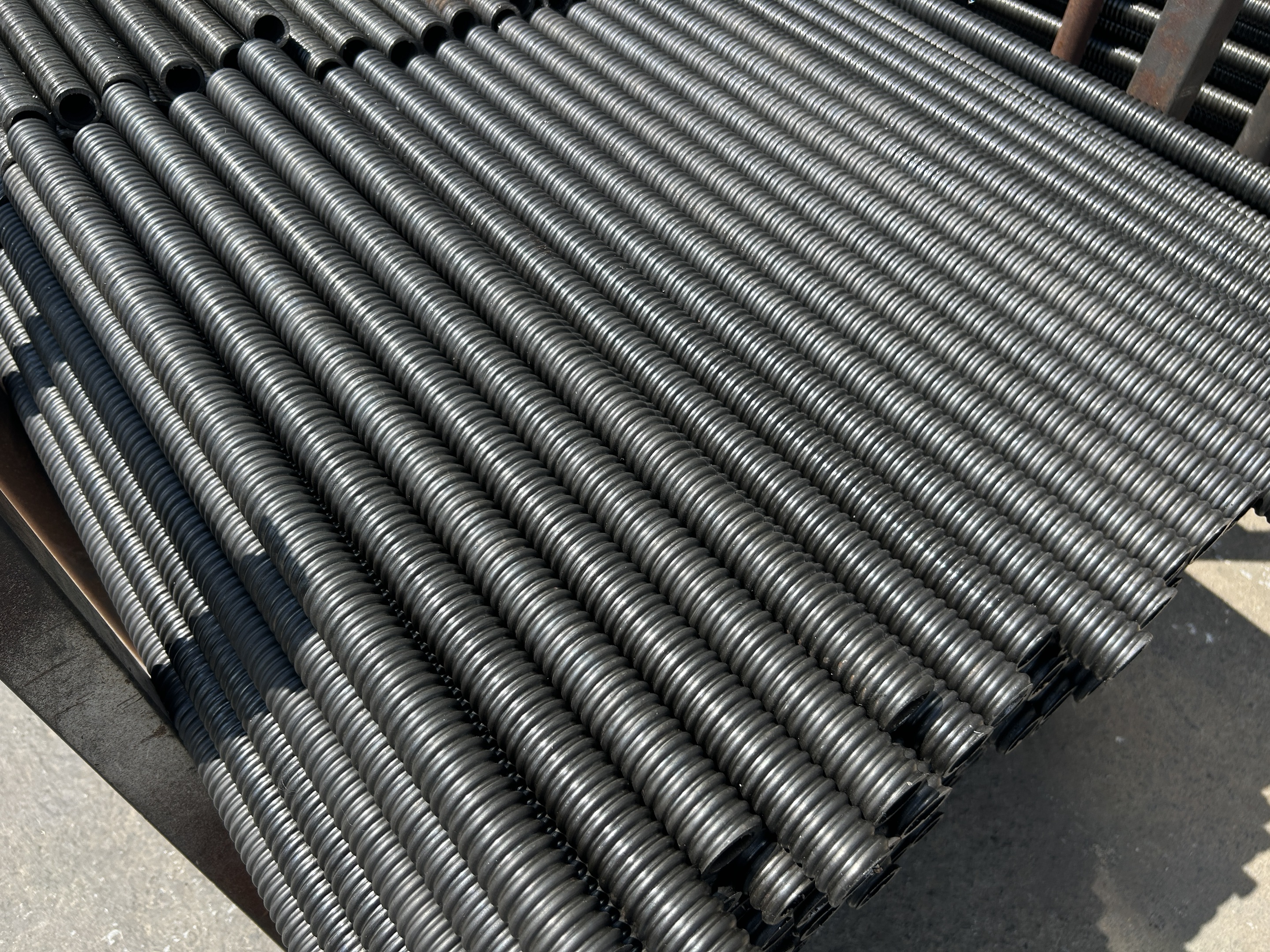 негізгі ұясы 