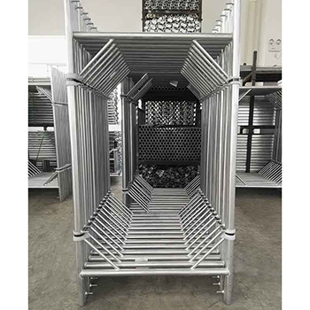 Дене құрылысы