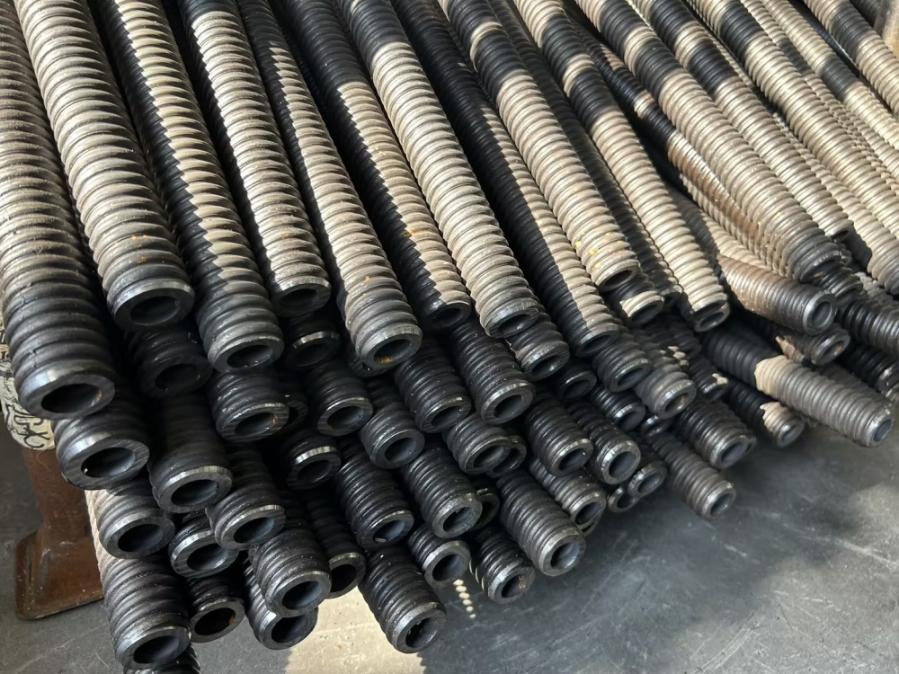 негізгі ұясы 