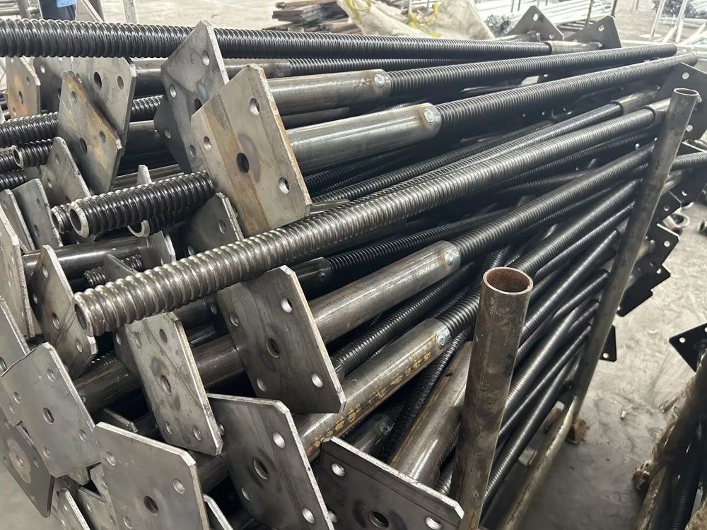 негізгі ұясы