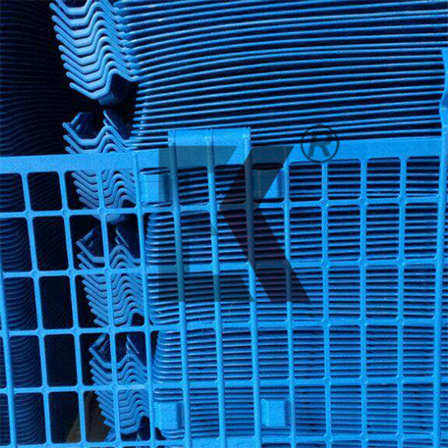 қақпасы көктем