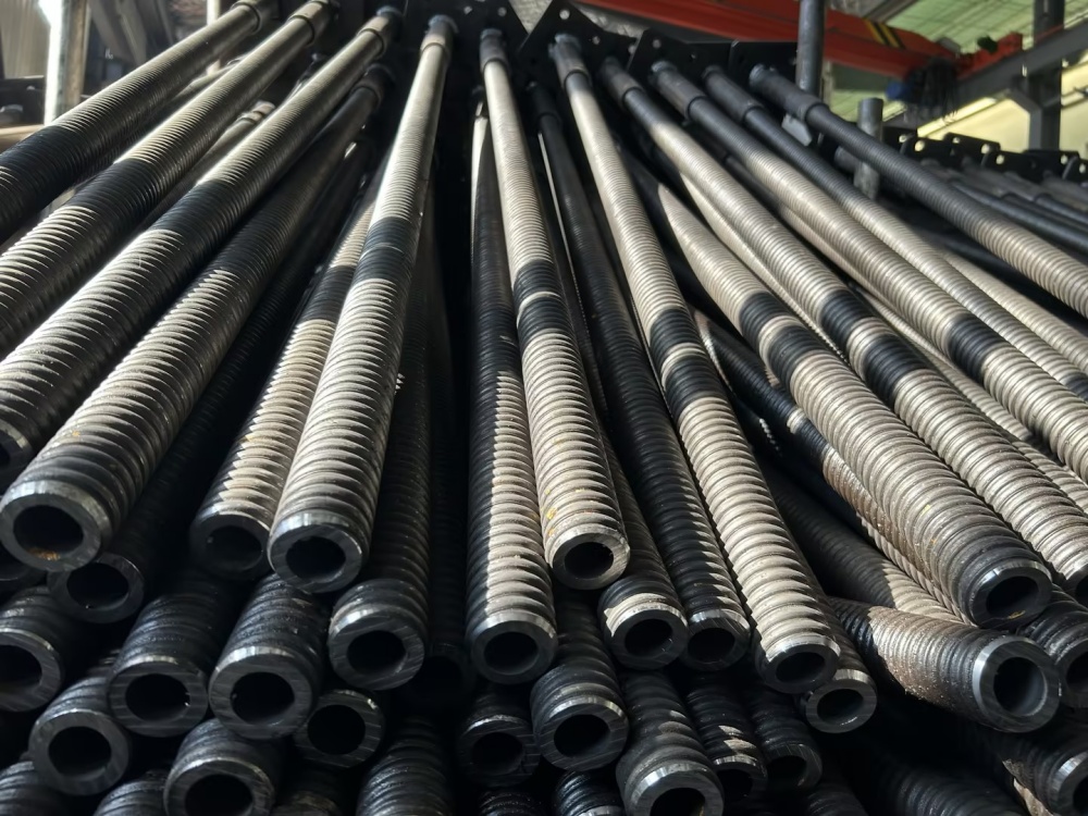 негізгі ұясы 