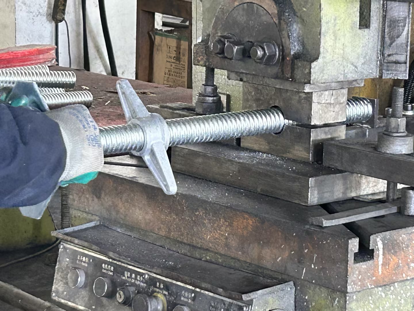 базалық ұяшық 