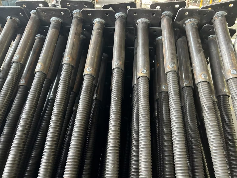 негізгі ұясы 